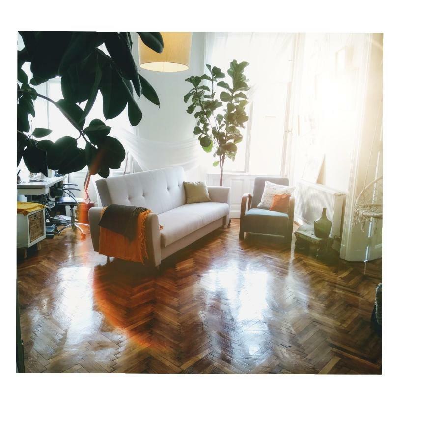 Jolie Apartment In Historical Center Budapest Luaran gambar