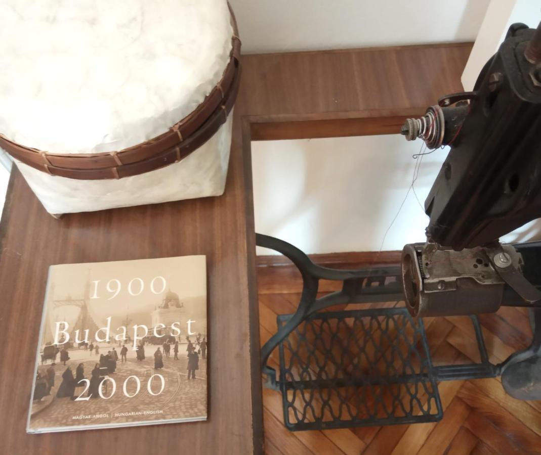 Jolie Apartment In Historical Center Budapest Luaran gambar